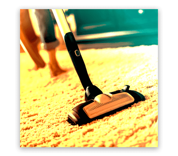 Professional Carpet Cleaning Dover Gardens