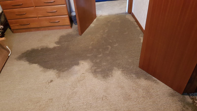 Wet Carpets At Home
